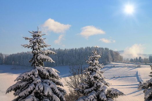 漂亮,冬季风景,场景,蓝天