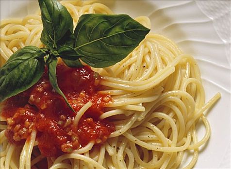 意大利面,西红柿,蔬菜沙司,意大利