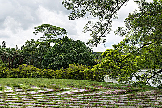 植物园