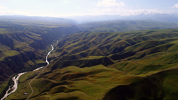 新疆特克斯,阔克苏大峡谷,高山草甸,峡谷激流
