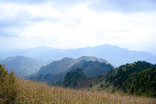 秦岭高山草甸