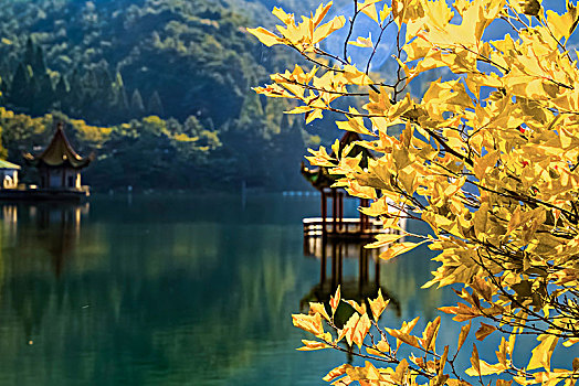 江西省九江市庐山风景区芦林湖自然景观