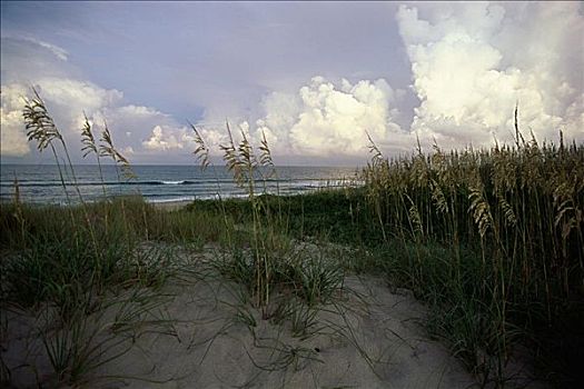 海特瑞斯角,国家海岸,北卡罗来纳,美国