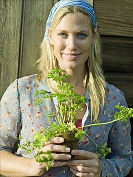 女青年,西芹,植物