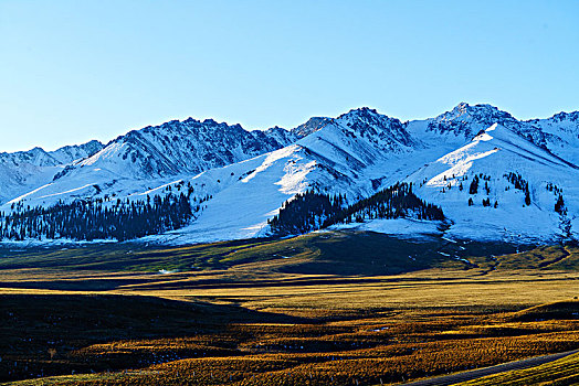 那拉提牧场的草原与雪山