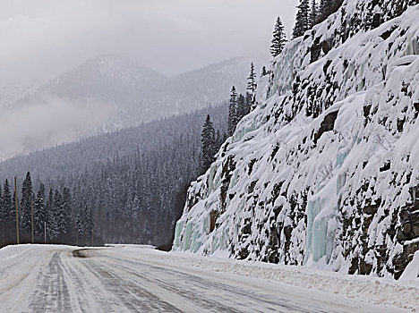 积雪,道路,通过,树林,不列颠哥伦比亚省,公路,加拿大