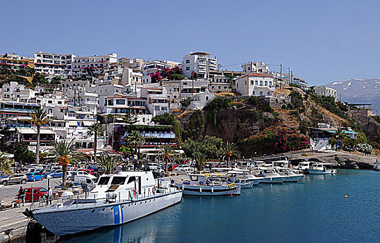 渔船,港口,克里特岛,希腊,欧洲
