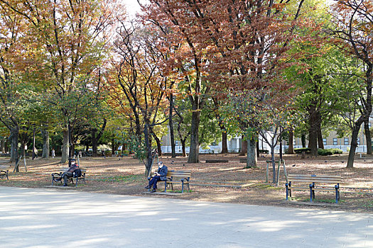 日本东京上野公园
