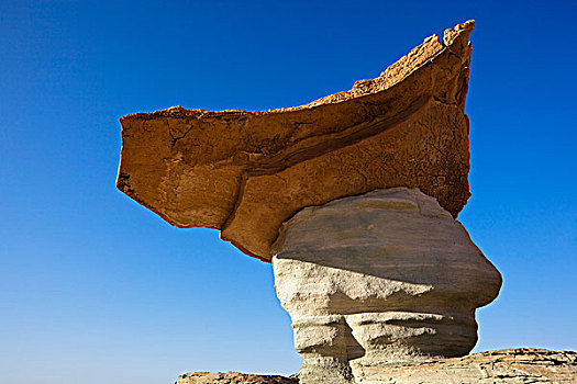 岩石构造,怪岩柱,马匹,马,幽谷国家娱乐区,犹他,北美,美国