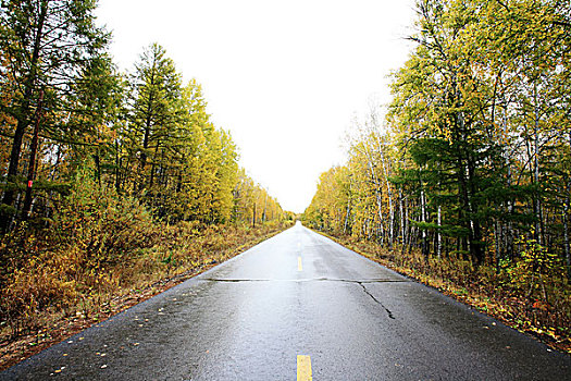 笔直,道路,远景