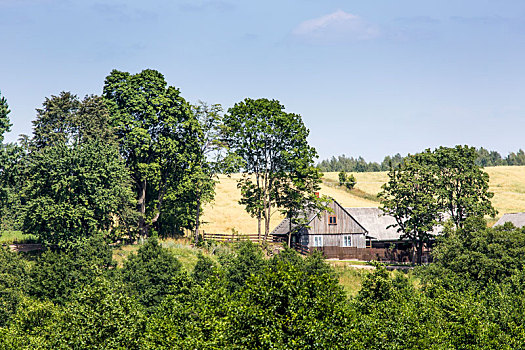 风景,公园,波兰