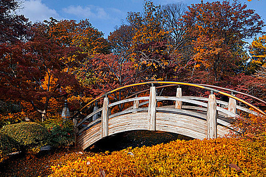 步行桥,日式庭园,堡垒,价值,德克萨斯,美国