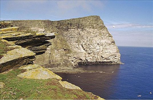 石头,峻岸,海洋,大西洋,设得兰群岛,苏格兰,英国,欧洲