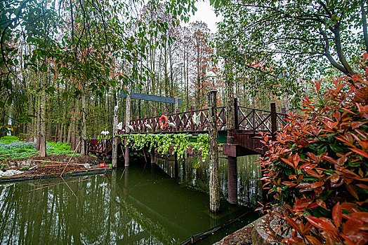 江苏省泰州市兴化市李中水上森林公园白鹭桥雕塑