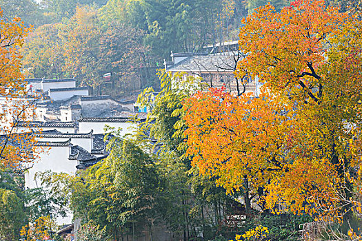 塔川秋景