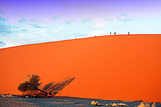 纳米比亚,纳米布沙漠