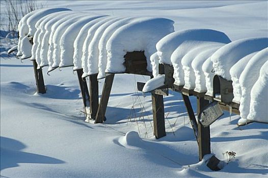 雪盖,邮箱,阿拉斯加