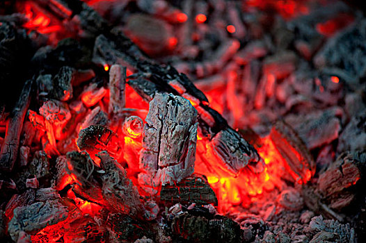 火焰,烧烤,湖,木头,安大略省,加拿大