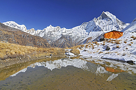 尼泊尔,安纳普尔纳峰,保护区,露营,喜马拉雅山