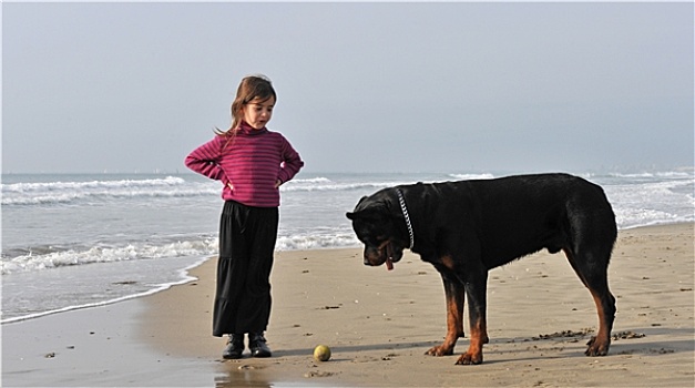 孩子,狗,海滩