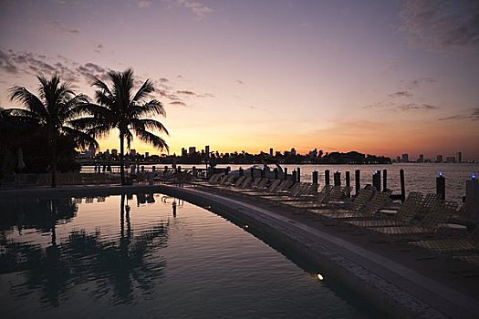 游泳池,日落,迈阿密,佛罗里达,美国