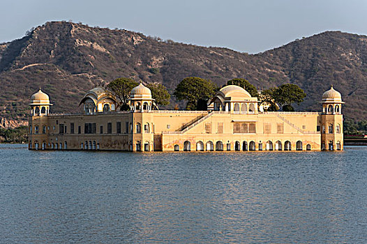 水,宫殿,男人,湖,斋浦尔,拉贾斯坦邦,印度,亚洲