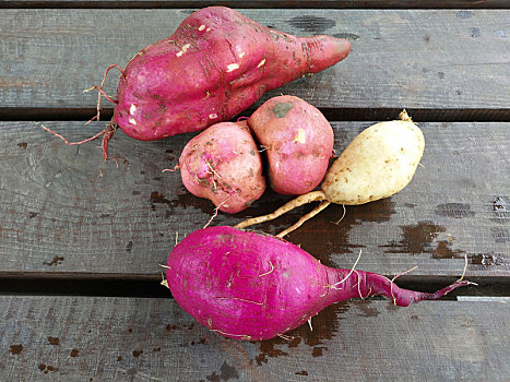 紫薯,红薯
