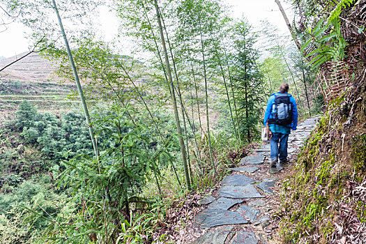 游客,走,湿,山路,绿色,山