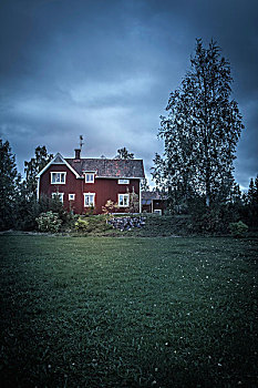 瑞典,房子,桦树