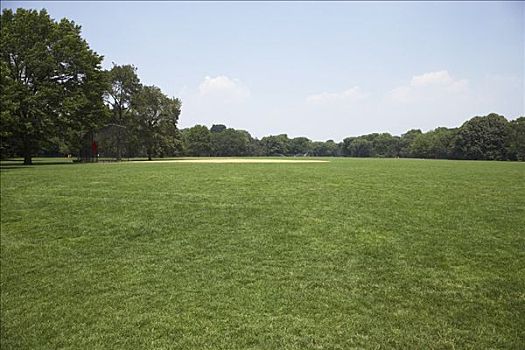 草地,中央公园,纽约,美国