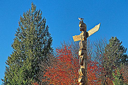 图腾柱,雕刻,国家,2009年,收集,史坦利公园,温哥华,不列颠哥伦比亚省,加拿大