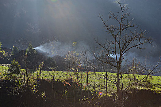 雾里村