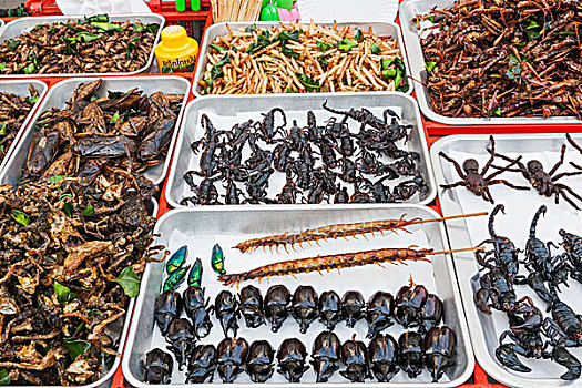 泰国,曼谷,道路,街道,出售,展示,油炸,昆虫