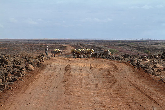 公路,斜坡,北方,肯尼亚