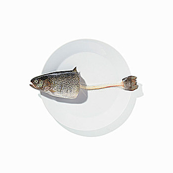 一半,鲑鱼,尾部,白色,盘子