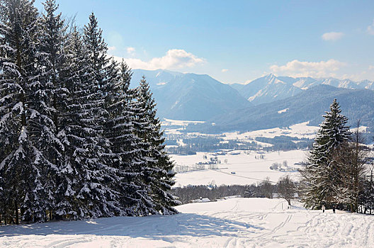 滑雪,高处,山谷,晴朗,白天,上巴伐利亚,巴伐利亚,德国,欧洲