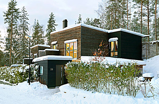 现代,斯堪的纳维亚,房子,暗色,木头,雪,冬季风景