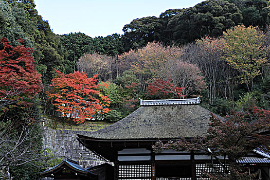 京都