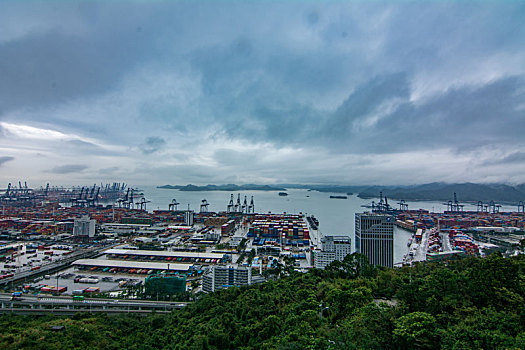 深圳盐田港全景