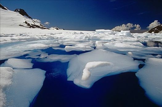 冰山,融化,水塘,棉田豪冰河,东南阿拉斯加,夏天