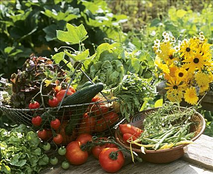 蔬菜,沙拉叶,花园桌