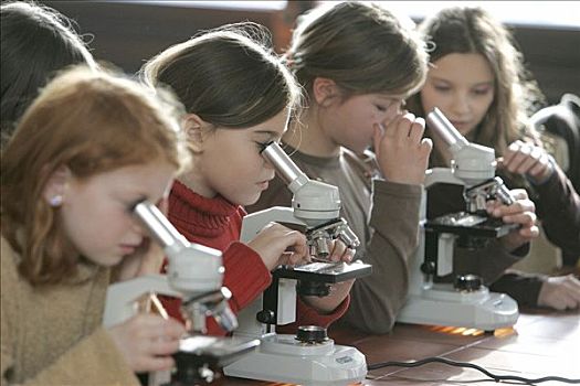 联邦德国,学生,工作,显微镜