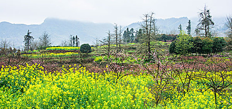 田园春色