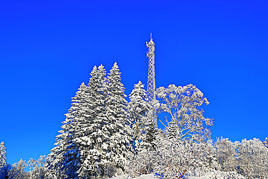 吉林省林海雪原中的信号塔