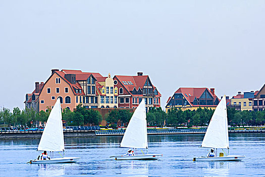三艘白色的三角帆船