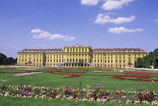 奥地利,维也纳,宫殿,城堡,美泉宫,花,前景