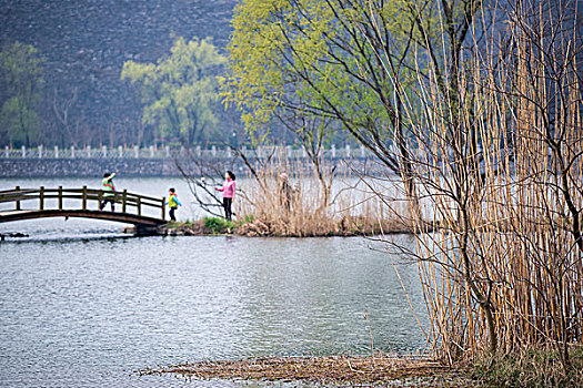 中山植物园