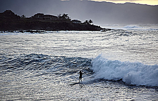 夏威夷,瓦胡岛,北岸,威美亚湾,冲浪,波浪,背影,岸边