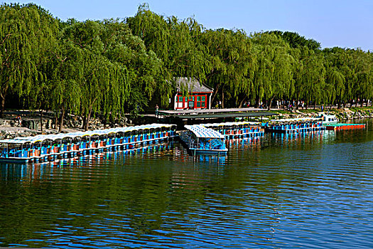 昆明湖的码头上并排停靠着众多游船