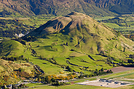 绿色,山,草地,光亮,温暖,晨光,靠近,皇后镇,风景,南岛,新西兰